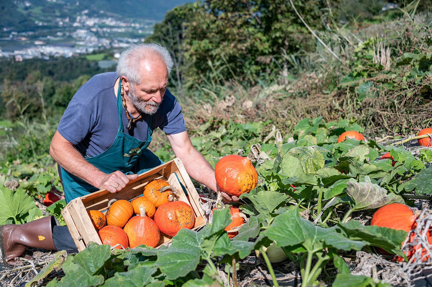 Bio Produkte Bauernhof 02