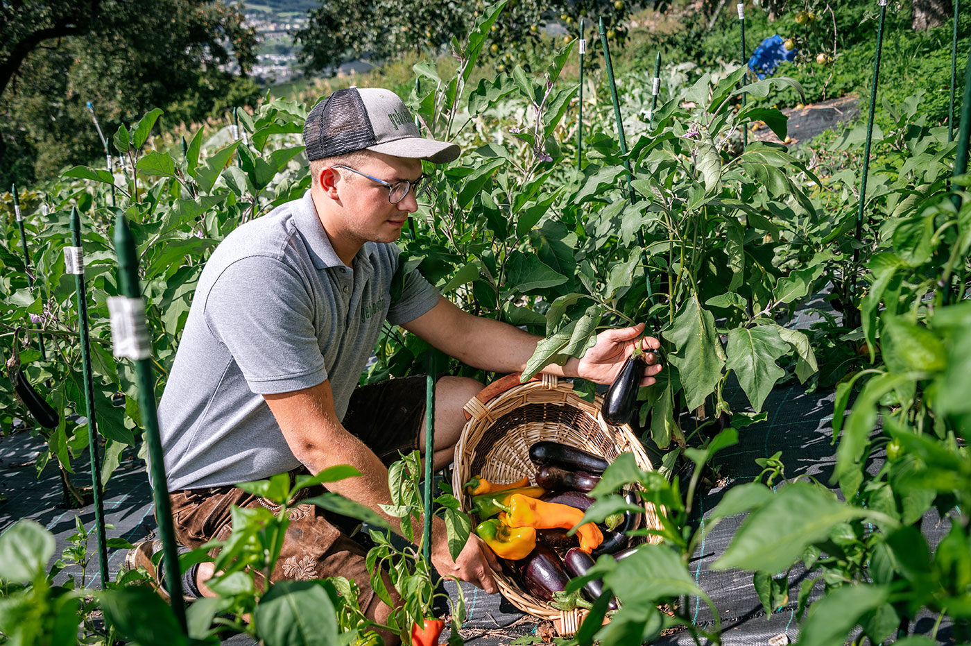 Bio Produkte Bauernhof 04