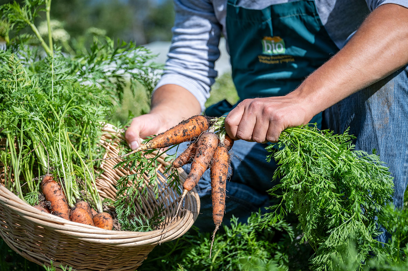 Bio Produkte Bauernhof 08