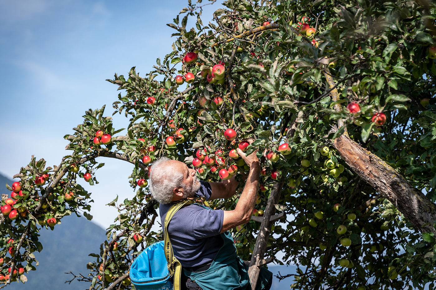 Bio Produkte Bauernhof 10