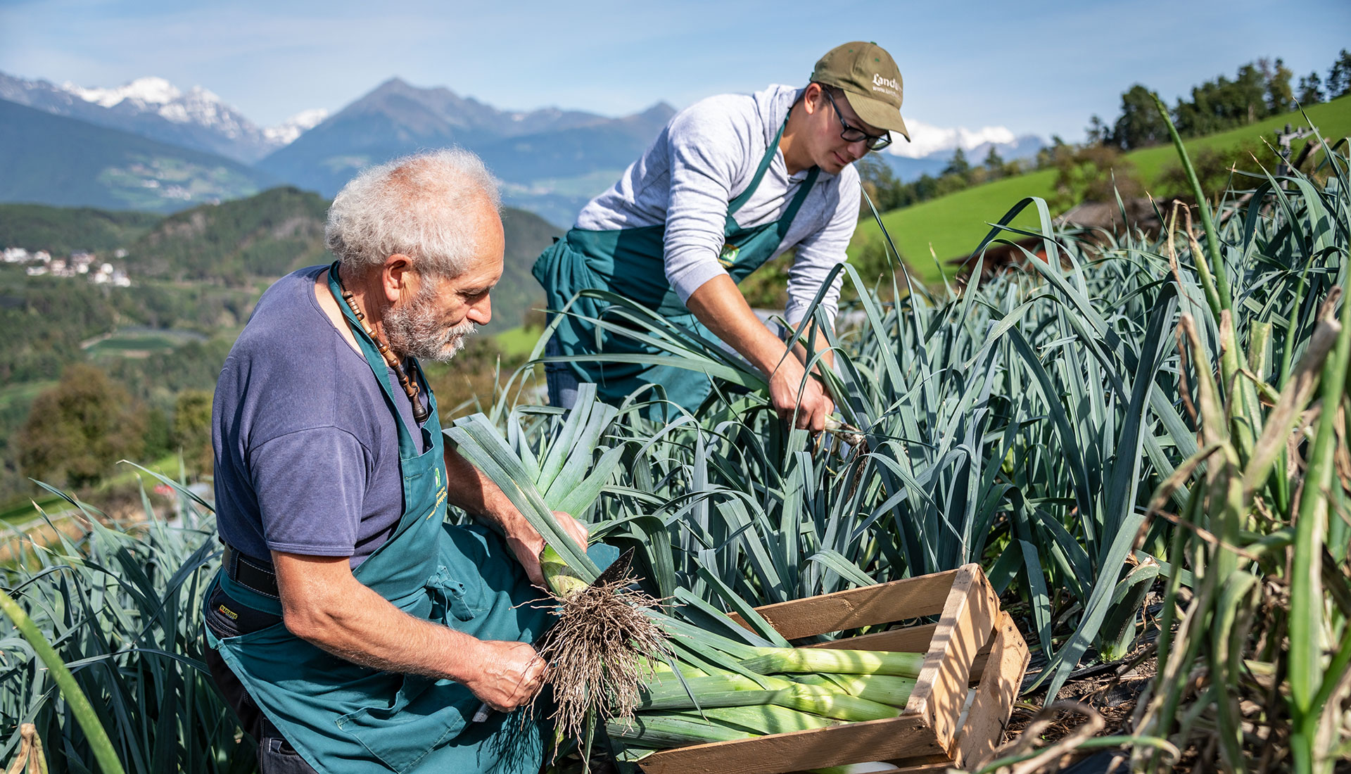 Biobauernhof Brixen Suedtirol 02