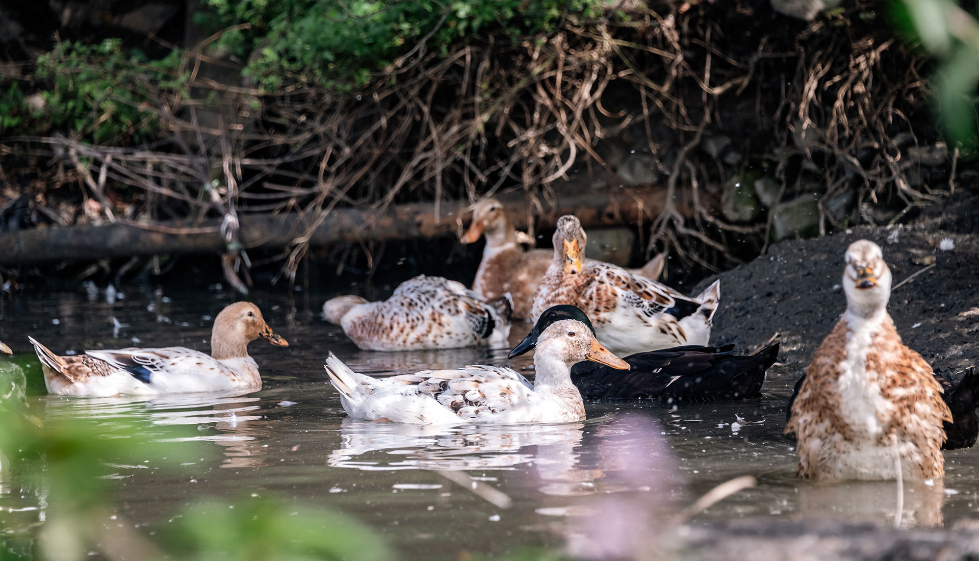 Hofabenteuer Suedtirol 05