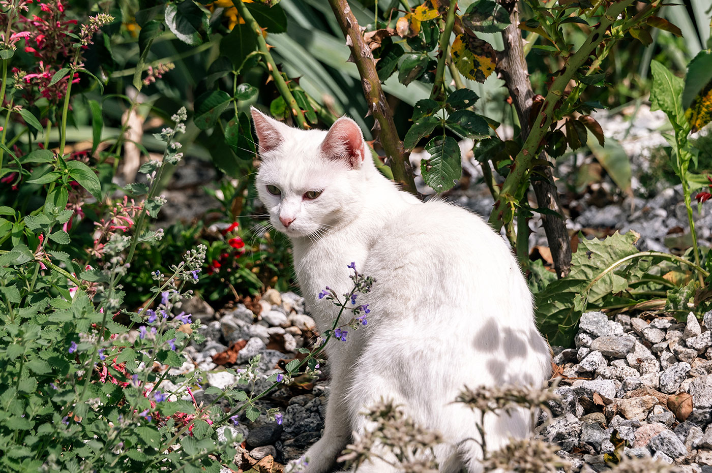 Hofabenteuer Tiere Spielplatz 08