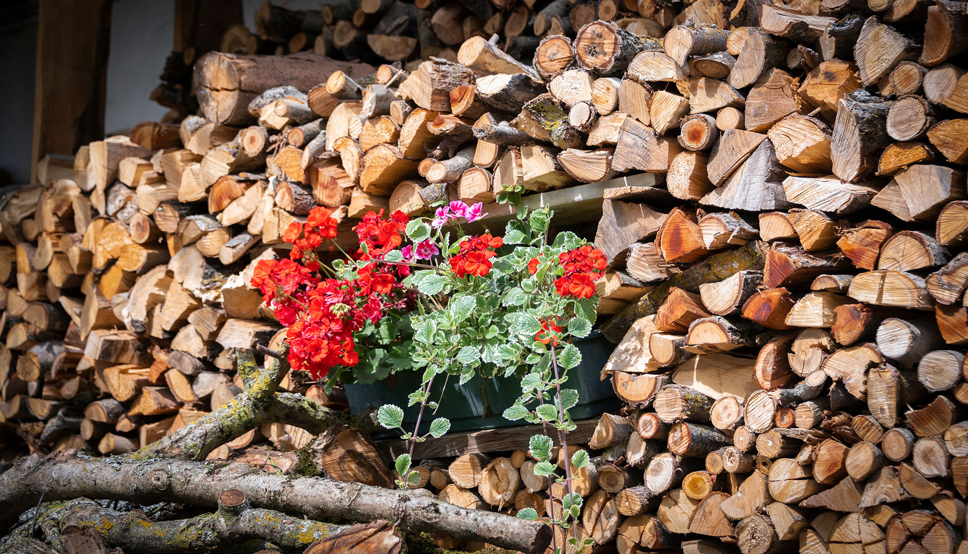 Kontakt Gebreitnerhof